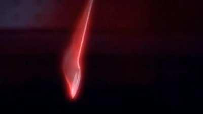 🐢🎤مذكرة الموت السلحفاة الفارسية ✍️📕