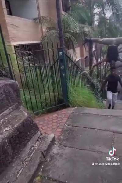 I am speechless 🤯