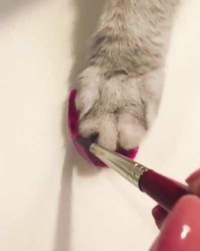 Let me help you with that