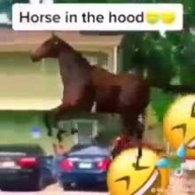 Ihaveohave repost cuz title too long