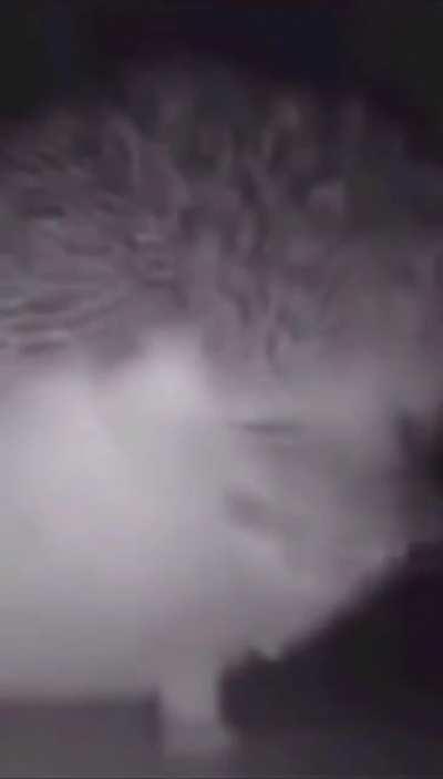 You expected a hedgehog sneeze, but it was...