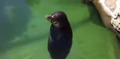 You spin me round round baby round round