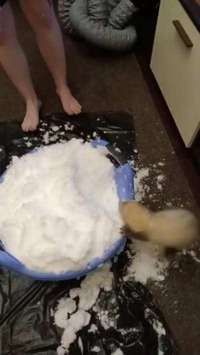 How much joy the first snow sometimes brings...