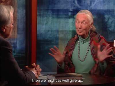 Remembering Dr. Jane Goodall