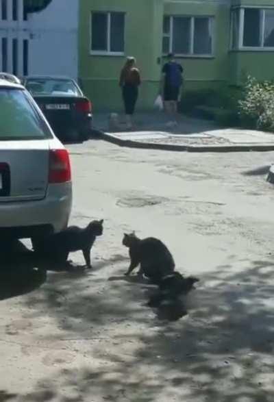 There’s instigating…then there’s taking it up a notch to actively provoking.