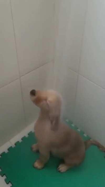 Taking A Shower