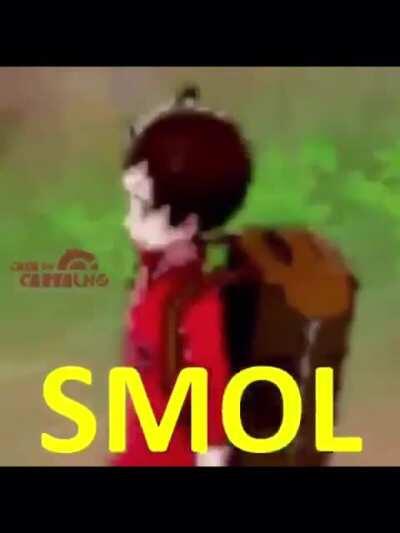 Reject realism! Let's be smol!