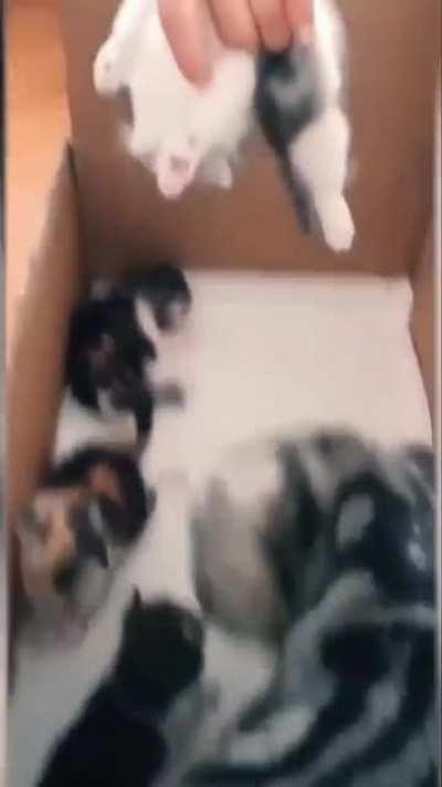 There is hardly anything in the world more beautiful than this