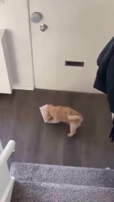 When the mail arrives..