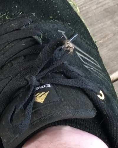 The little guy was hungry