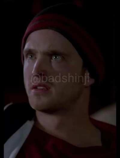 Mr branco, golfinhos falam?