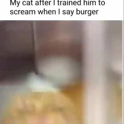 The training was a success