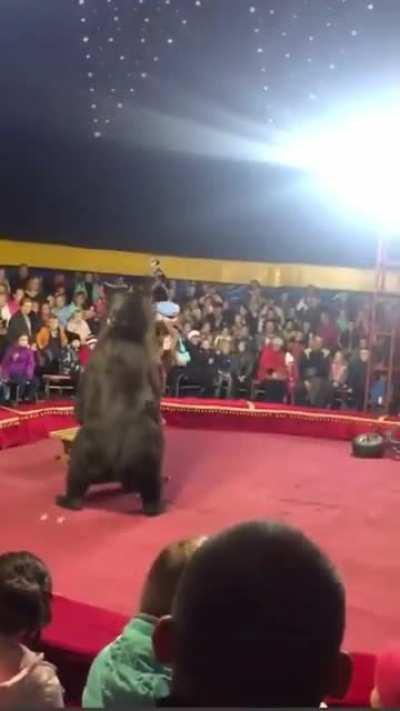 Like a Circus 🤡 🎪