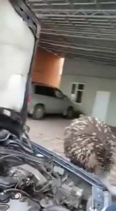 HEY.. LET ME HELP YOU, I KNOW HOW TO FIX IT!