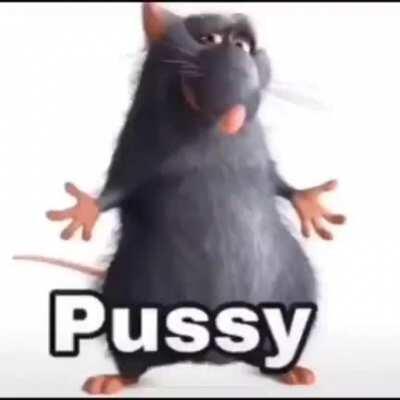 Pussy