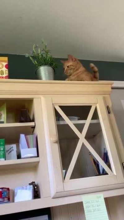 You want something to record?