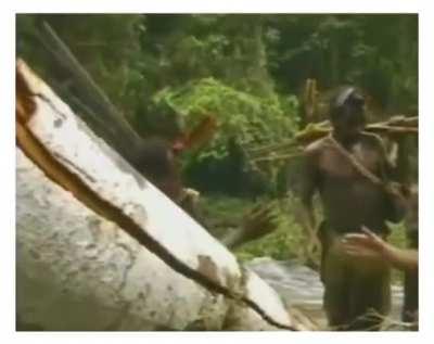 Forest tribe meets a white man for the first time in 1993