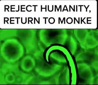 Reject humanity, return to monkey