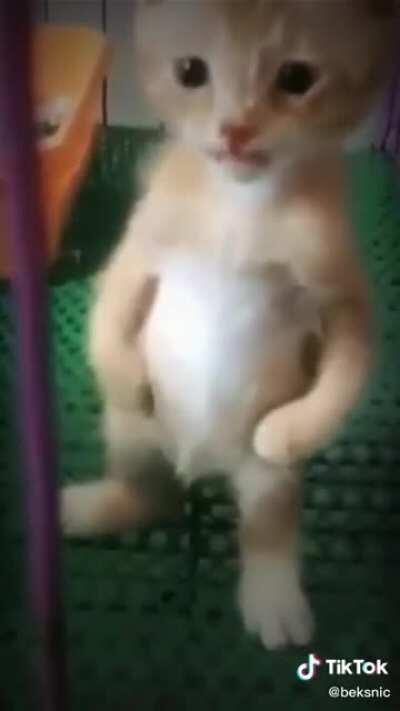 m̵̡̝̥̳̯̝̓̂͛͂̑̎̏̕ȋ̸̤̰͌͆c̸̺̈́͒̈́̈́̍̂͐̊̍́̐́̀̂͝h̶͉̥̜͈͇͇̦̽͋̆͗̓͌̑̕̚a̴̛͉̩̝͍̣͇̍̎̀͋̈́̀̾͂͐̽̓é̸͖̯̫̞͇̙̊̓͌̋̂̒͝l̴̡̹̩̟̠̞̻͑̇̿̊̅