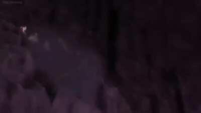 Ayo the pizza is here