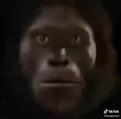 Thanks I hate, monke