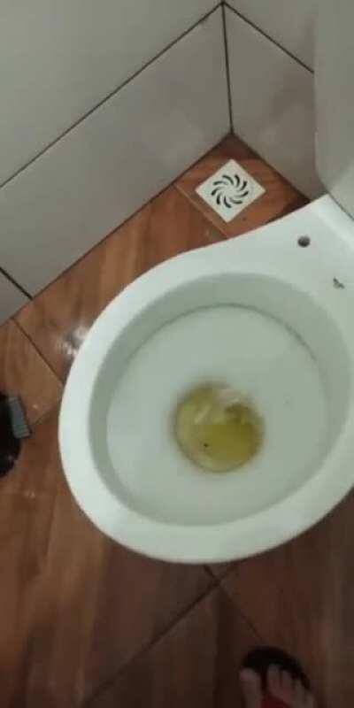 Welcome to your new irrational fear