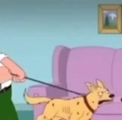 Thatâs not a dingo thatâs bingo