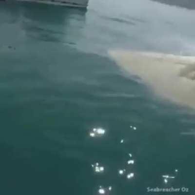 Bond. . . . James Bond.