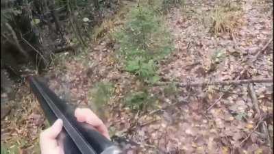 Man maintains his composure when attacked by a bear