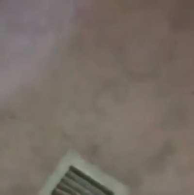 Trailer D W E L L E R