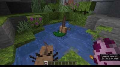 Ah yes, the Minecraft snapshot experience (pls don't fix this bug, it's kinda cute)