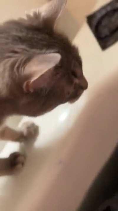 Miss Beans trying to understand the black bath bomb water like: