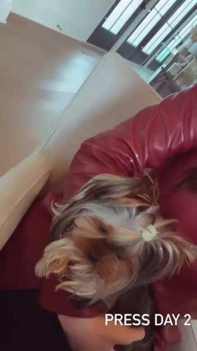 Press Day 2