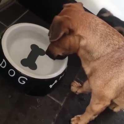 Weird.It Seems That There Is A Bone,but It Seems That There Is No Bone...