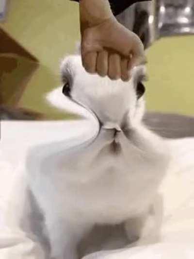 we dont like this one