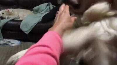 leave my goddamn binky alone