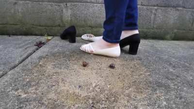 Flats and heels crush snails 