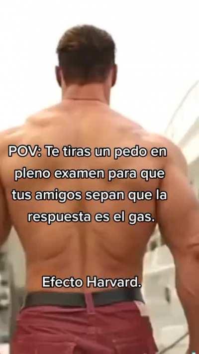 Nunca se dieron cuenta los gilipollas