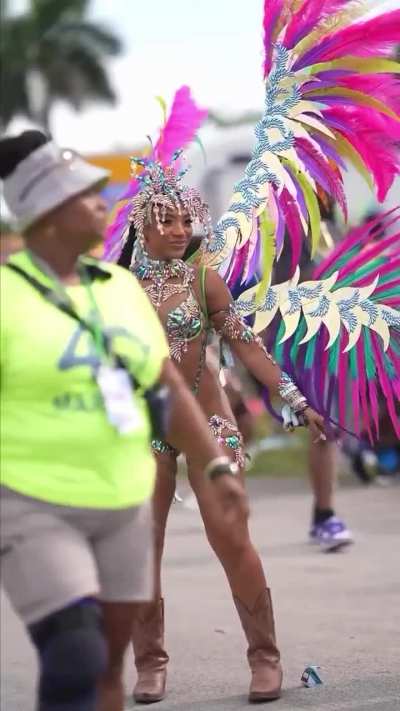 #MiamiCarnival   ......#miami #carnival #miamicarnivsl2024 #epic #vibes #beauty #beautiful #costume #usa #xceptionalxperience #xcxp