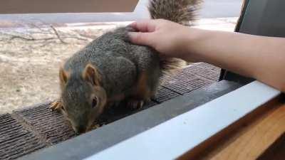 Caroline (Bearo) has been so tolerant of me lately. Crazy girl!