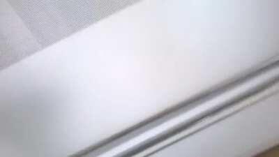 How the heck does this fish still alive while being cook and headless?