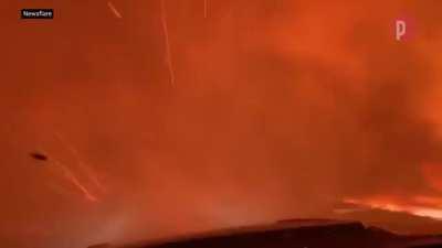 Holy Shit California