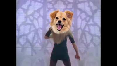 I think something is wrong with my Owl House intro