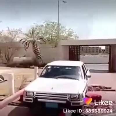 Blease Saar, we Saudis are Asian Saar, we no Europeanz.