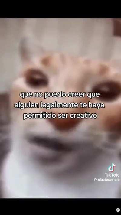 No es gracioso no me rei