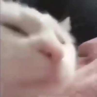 it's one of those days again 🚀