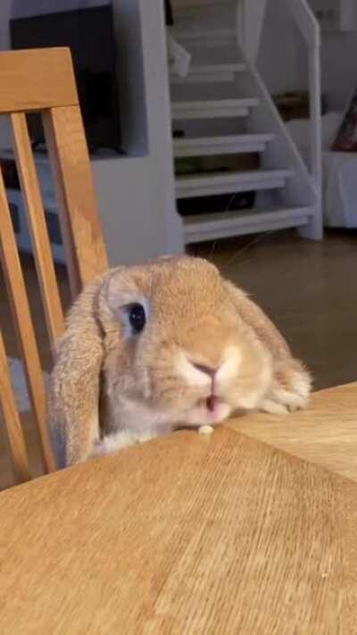 Pudding eating apples!