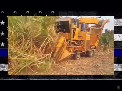 I saw this absolute gem of a clip today and I know most of u probably saw this but for the few that didn’t here u go.