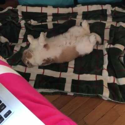 Roll over with the pause