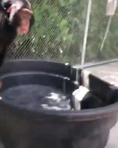 Cuando orson hace directo después de una semana